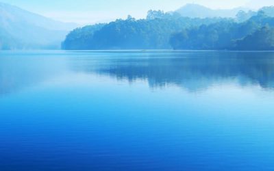 Beat the Blues on BLue Monday and All-Year Round