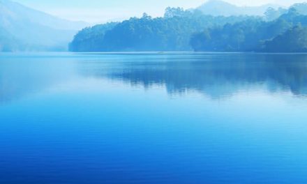 Beat the Blues on BLue Monday and All-Year Round