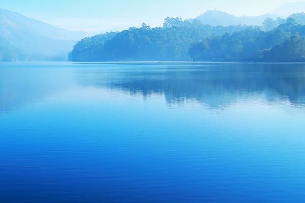 Beat the Blues on BLue Monday and All-Year Round